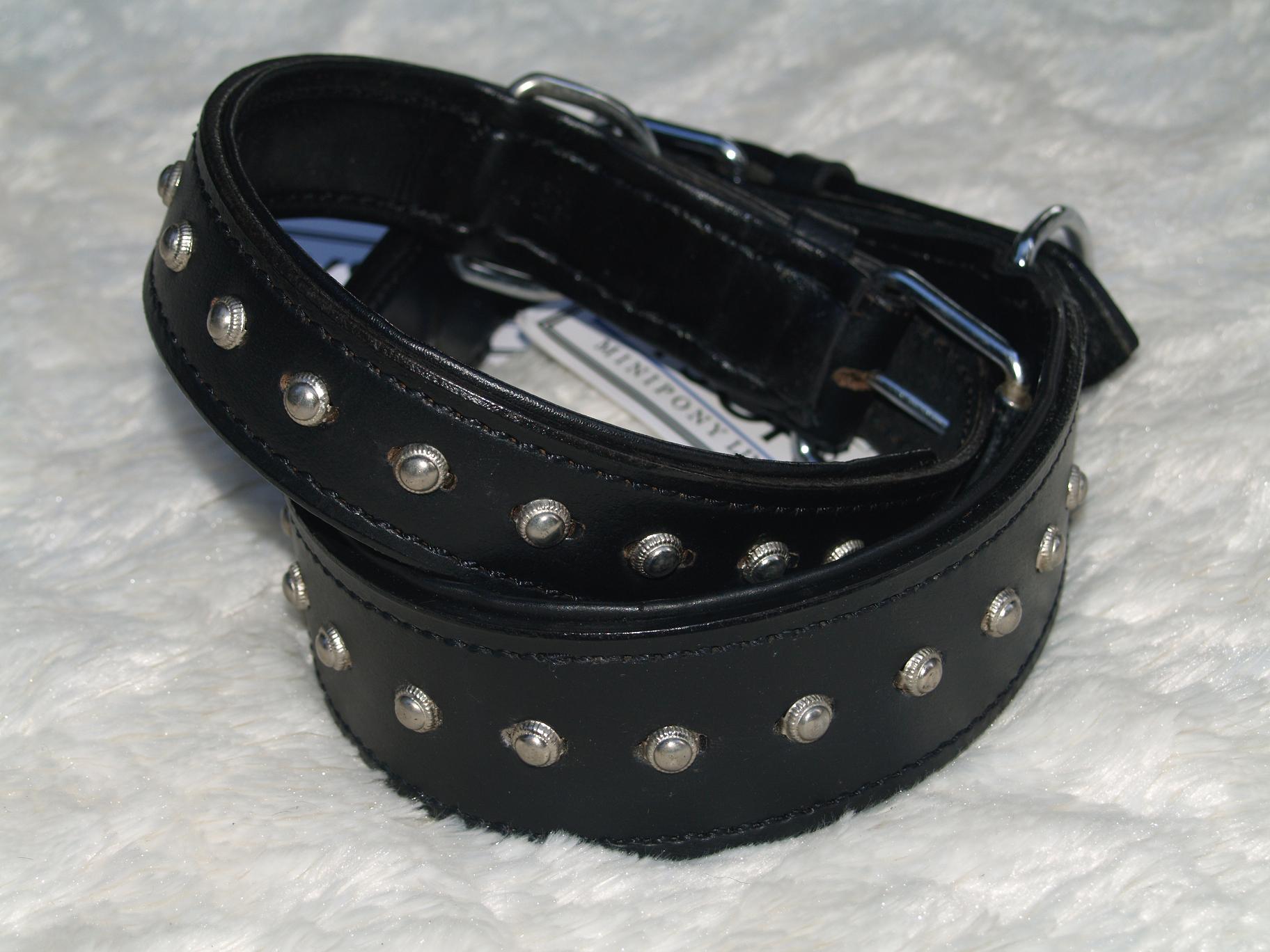 Leder-Hundehalsband Mit Nieten – Elegant, Schwarz, Gepolstert, Größe 63 Cm / 30 Mm