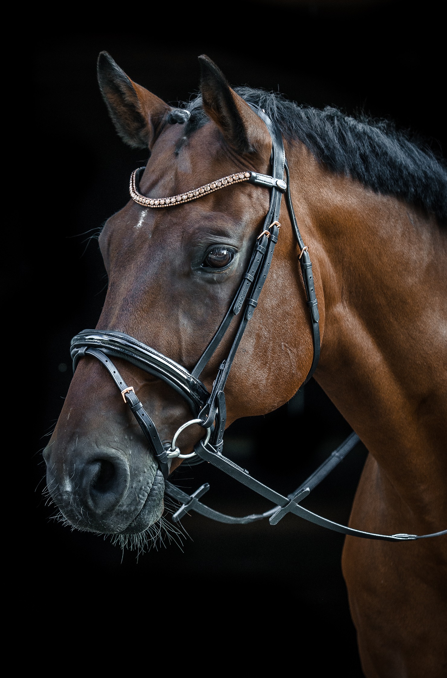 Harry's Horse Kombinierte Trense Rosegold Classic Leder schwarz Beschl rosegold 