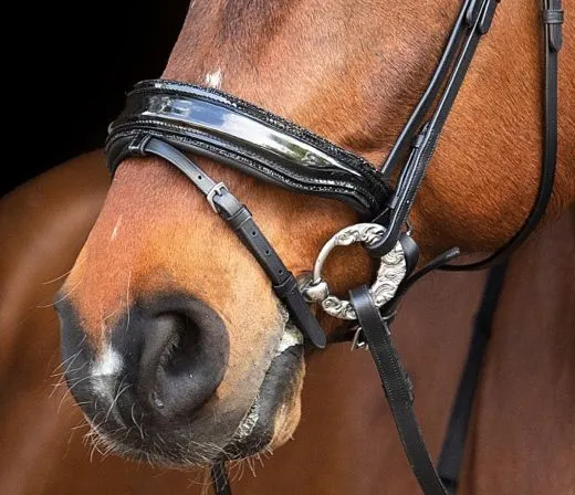 Trense Zaum BLACK SIS Lack Strass Glitzer Schwarz Glitzer Details Nasenriemen Schwedisch + gummierte Z�gel VB WB X FULL