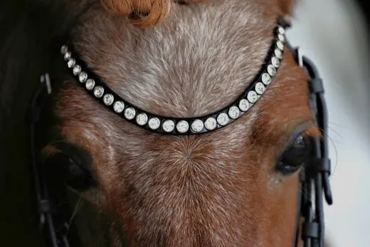 CROWN Minishetty Shetty Welsh Trense abnehmbarer Sperrriemen Englisch Leder Glitzer Genick u Nasenriemen + Z�gel