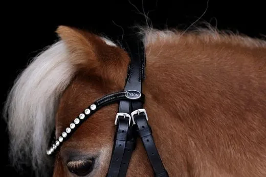 CROWN Minishetty Shetty Welsh Trense abnehmbarer Sperrriemen Englisch Leder Glitzer Genick u Nasenriemen + Z�gel