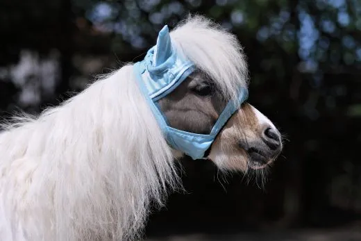 - + Fliegenhaube Fliegenmaske Maske Lissy mit Ohren Minishetty Shetty Mini Shetty Welsh Augenfreiheit Falabella T�rkis Hellblau