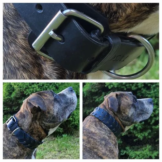 Lederhalsband Leder Schwarz Breit Hohe Zugkraft FADE Zierkordel am Rand Halsband LEDER Breit sehr stabil M L XL