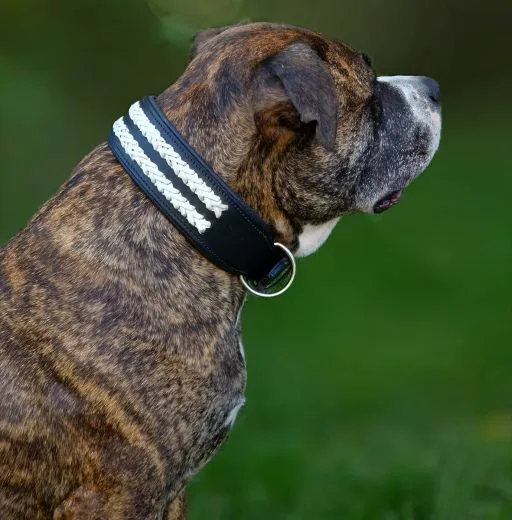 Ruffle Lederhalsband Leder Schwarz Breit Hohe Zugkraft doppelte Zierkordel Wei / Creme LEDER Breit sehr stabil M L XL