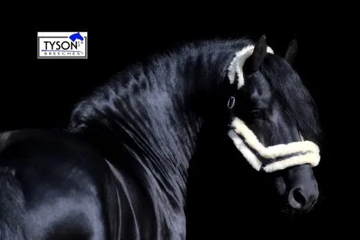 Lederhalfter Danilo Lammfell komplett abnehmbar VB WB X Full XX FULL Kaltblut Leder Halfter ergonomisch