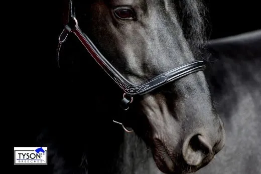 Lederhalfter Danilo Lammfell komplett abnehmbar VB WB X Full XX FULL Kaltblut Leder Halfter ergonomisch