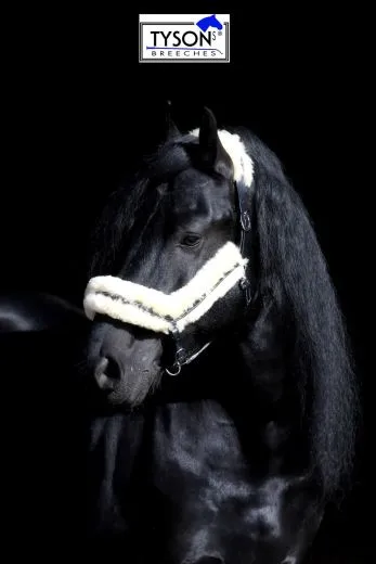 Lederhalfter Danilo Lammfell komplett abnehmbar VB WB X Full XX FULL Kaltblut Leder Halfter ergonomisch