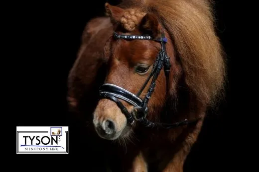 Trense Nobless Minishetty Mini Shetty Welsh Glitzer Lack ergonomisch / anatomisch geformt Leder MS S