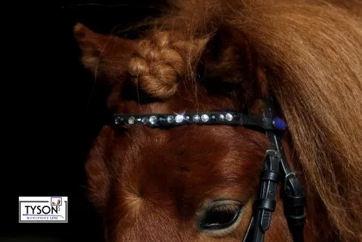 Trense Nobless Minishetty Mini Shetty Welsh Glitzer Lack ergonomisch / anatomisch geformt Leder MS S