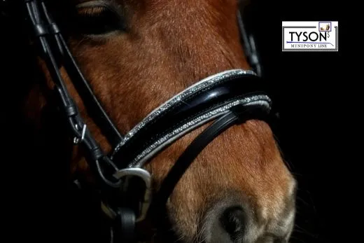 Trense Nobless Minishetty Mini Shetty Welsh Glitzer Lack ergonomisch / anatomisch geformt Leder MS S