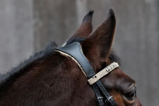 Snake Leder Trense Umlenkverschnallung ergonomisch Genickaussparung Ohrenfreiheit + Z�gel VB WB XFULL