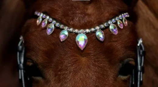 Trense VERONA Diadem Glitzer Tropfenband Leder Englisch Schwarz Minishetty Shetty incl. Z�gel Zaum Minipony