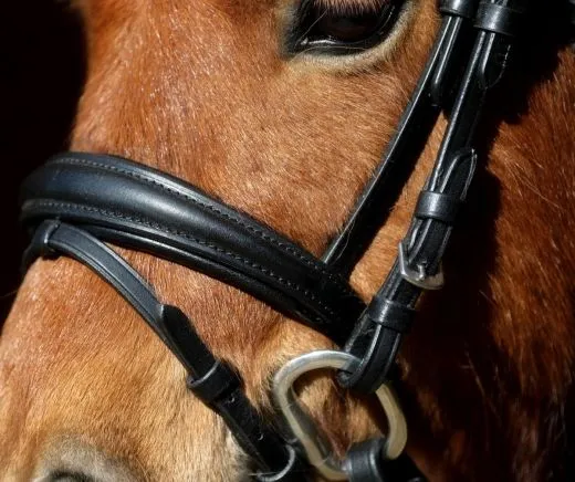 Trense VERONA Diadem Glitzer Tropfenband Leder Englisch Schwarz Minishetty Shetty incl. Z�gel Zaum Minipony