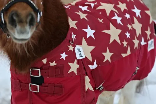 1200 D Sterni Rot Sterne Sterni Winterdecke Regendecke Fleece Lining 0 Gramm / 200 Gramm 65 70 75 80 85 90 95 100