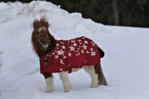 1200 D Sterni Rot Sterne Sterni Winterdecke Regendecke Fleece Lining 0 Gramm / 200 Gramm 65 70 75 80 85 90 95 100