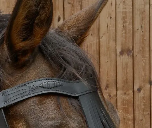 Barock Spanische Vaquero Zaum Trense Leder Cortezia Schnallen VB WB Ex Full V - Lederfransen - Frontalera Schwarz incl. Lederz�gel