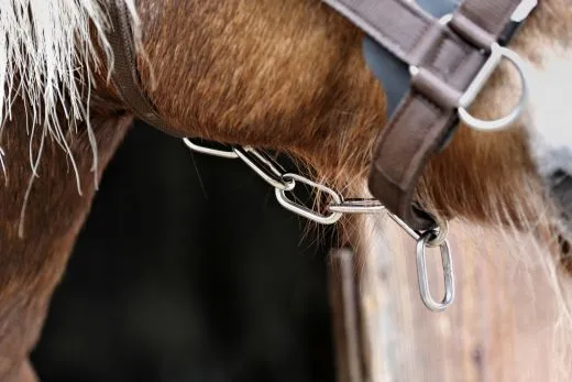 Halfter Big BOY Nylon EXTRA STARK mit Gebiss Ringen / Kette Schwarz Braun XFULL XX FULL Kaltblut