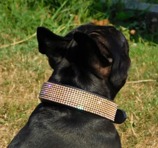 Halsband FUNKY Glitzer Total M L XL EXTRA Breit Gold Farben Starke Zugkraft Funky GO SI