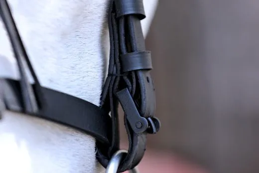 Paolo Barock Spanische Vaquero Zaum Trense Leder VB WB Ex Full Lederfransen - Frontalera Schwarz incl. Lederz�gel