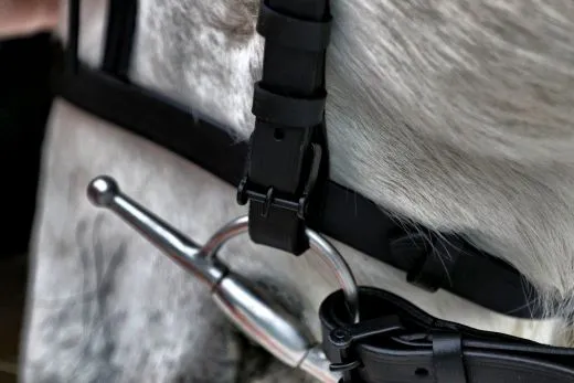 Paolo Barock Spanische Vaquero Zaum Trense Leder VB WB Ex Full Lederfransen - Frontalera Schwarz incl. Lederz�gel
