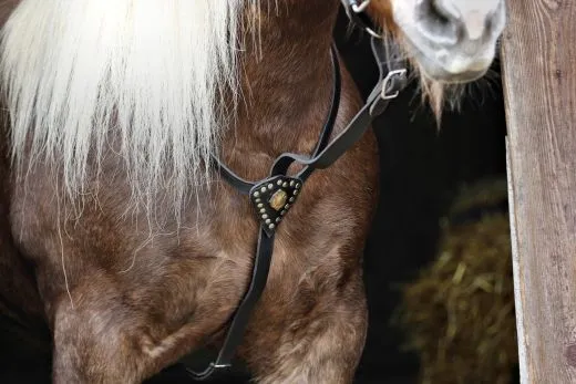 Vorderzeug f�r ein Prunkhalfter - Sto�z�gel Leder Schwarz B - WARE VB WB XFULL Prunkvorderzeug Kaltblut Noriker