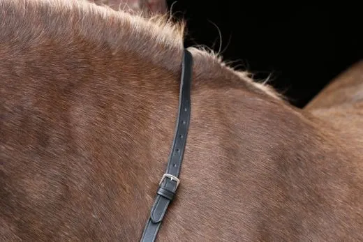 Vorderzeug f�r ein Prunkhalfter - Sto�z�gel Leder Schwarz B - WARE VB WB XFULL Prunkvorderzeug Kaltblut Noriker