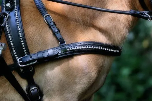 JUWEL Leder Einsp�nner Brustblattgeschirr Minishetty Shetty Lack Glitzer Schwarz teils Rund gen�ht Strass