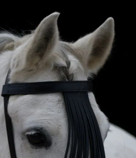 Stirnband PAOLO spanisch Stirnriemen Schwarz Fransen Frotalera Pony VB WB Leder Fransenstirnband gerade