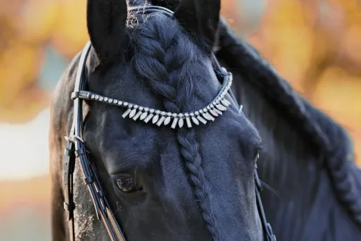 Leder Trense FLINT Show Trense Schwarz Zapfen ~ Tropfen Diadem Stirnband VB WB X Full Genick ergonomisch Camouflage