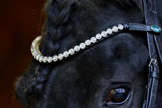 Leder Trense Schwarz DONNA Lack Glitzer VB, WB, X Full,XXF Kaltblut Zaum Ledertrense Schwedisch + Z�gel Ledertrense