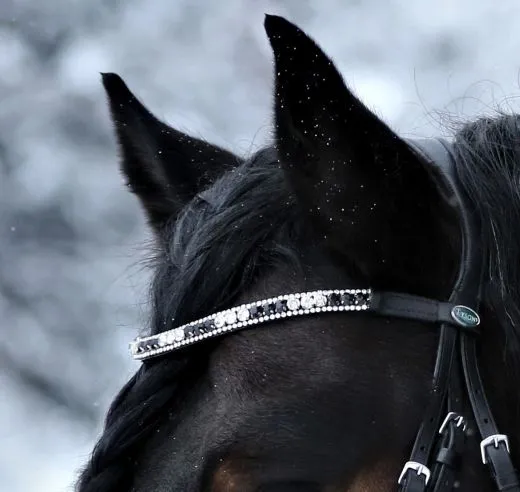 Leder Trense Schwarz DANDY Lack Glitzer VB WB X Full XXF Kaltblut Zaum Ledertrense Schwedisch + Z�gel Ledertrense ergonomisch Fischgr�t Muster