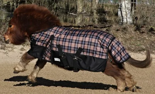 1200 Denier Regendecke / Outdoordecke Braun Karo ohne F�llung =0 Gramm Baumwoll Lining ! 65 70 75 80 85 90 95 100 cm R�ckenl�nge