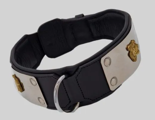 Lederhalsband THOR Breit Metallplatte Schwarz Leder X L XL Hundekopf Bulli Leder Halsband