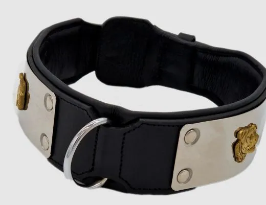 Lederhalsband THOR Breit Metallplatte Schwarz Leder X L XL Hundekopf Bulli Leder Halsband