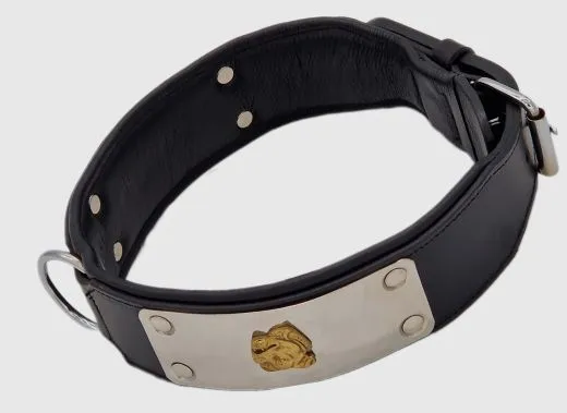 Lederhalsband THOR Breit Metallplatte Schwarz Leder X L XL Hundekopf Bulli Leder Halsband