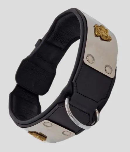 Lederhalsband THOR Breit Metallplatte Schwarz Leder X L XL Hundekopf Bulli Leder Halsband
