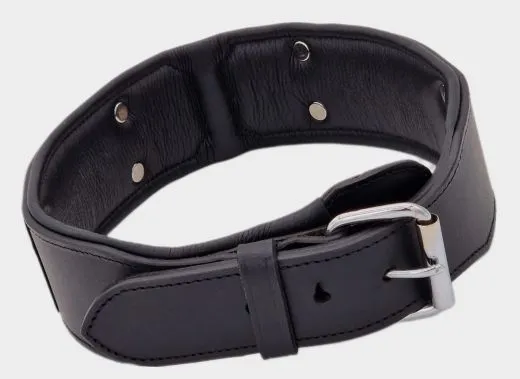 Lederhalsband THOR Breit Metallplatte Schwarz Leder X L XL Hundekopf Bulli Leder Halsband