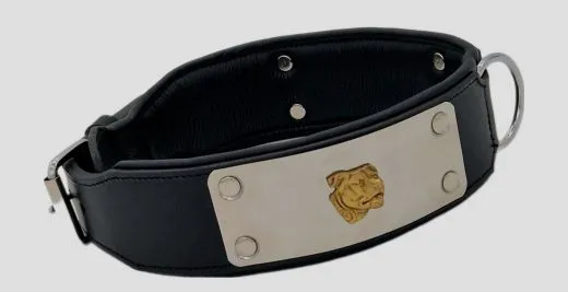 Lederhalsband THOR Breit Metallplatte Schwarz Leder X L XL Hundekopf Bulli Leder Halsband