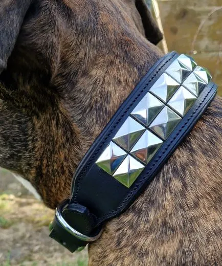Lederhalsband TITAN Breit Pyramiden Nieten Leder X L XL Leder Halsband Nietenhalsband Schwarz Silberfarben Hohe Zugkraft