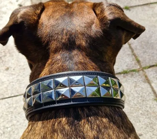Lederhalsband TITAN Breit Pyramiden Nieten Leder X L XL Leder Halsband Nietenhalsband Schwarz Silberfarben Hohe Zugkraft