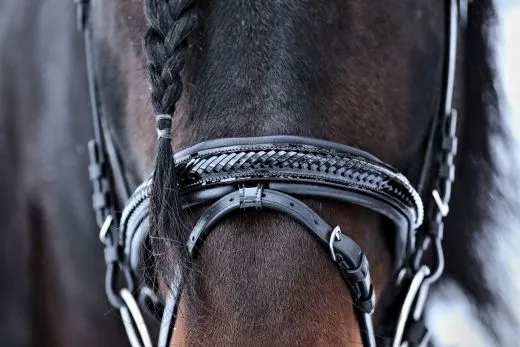 Leder Trense Schwarz DANDY Lack Glitzer VB WB X Full XXF Kaltblut Zaum Ledertrense Schwedisch + Z�gel Ledertrense ergonomisch F�chermuster