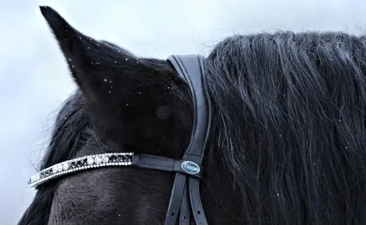 Leder Trense Schwarz DANDY Lack Glitzer VB WB X Full XXF Kaltblut Zaum Ledertrense Schwedisch + Z�gel Ledertrense ergonomisch F�chermuster