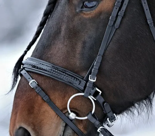 Leder Trense Schwarz DANDY Lack Glitzer VB WB X Full XXF Kaltblut Zaum Ledertrense Schwedisch + Z�gel Ledertrense ergonomisch Fischgr�t Muster�