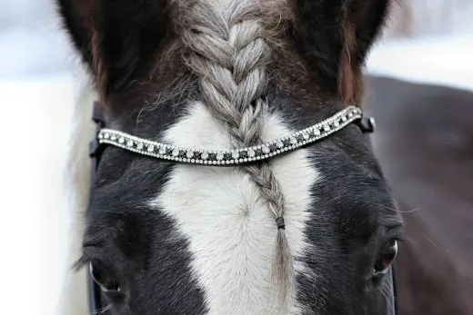 Deluxe 2 Ledertrense RUND gen�ht Schwarz Wei� unterlegt Glitzer Stirnband incl. Z�gel VB WB XFULL XXFULL -Kaltblut Rundgen�ht