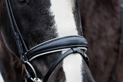 Deluxe 2 Ledertrense RUND gen�ht Schwarz Wei� unterlegt Glitzer Stirnband incl. Z�gel VB WB XFULL XXFULL -Kaltblut Rundgen�ht