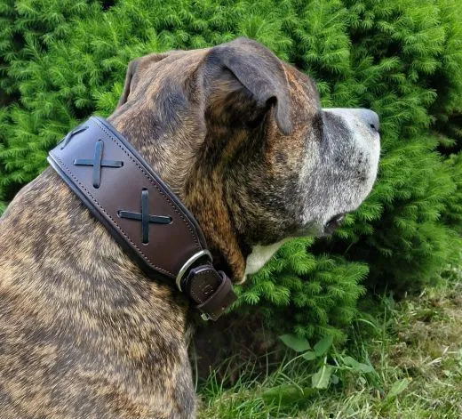 Hundehalsband Leder Zierstich Schwarz Braun Wei� M L XL BREIT Kreuz Halsband Leder Zierkreuz Lederhalsband Zierstick Schutzlasche Hals