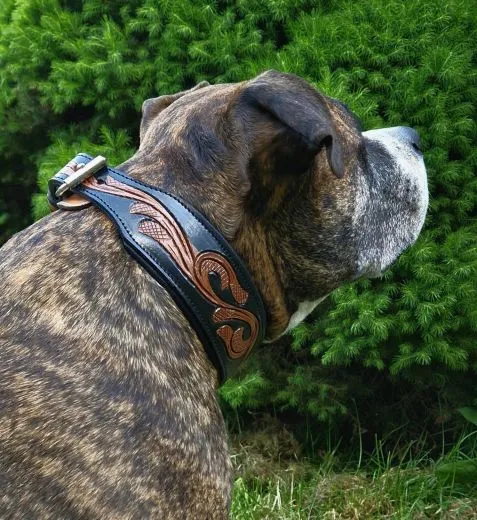 Lederhalsband Rich Breit Leder M L XL Leder Halsband Schwarz Braun pun�zie�rt