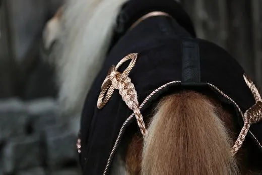 Paradedecke Fleece Anti Pilling Abschwitzdecke mit Kragen ZARAA Schwarz Silber- Goldfarben Rosegold 70 80 90 100 110 cm