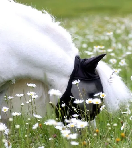 Fliegenhaube - + Lissy MIT Ohr OHNE Nasenschutz Gr. Minishetty Shetty Grau Schwarz Fliegen Haube Fliegenmaske