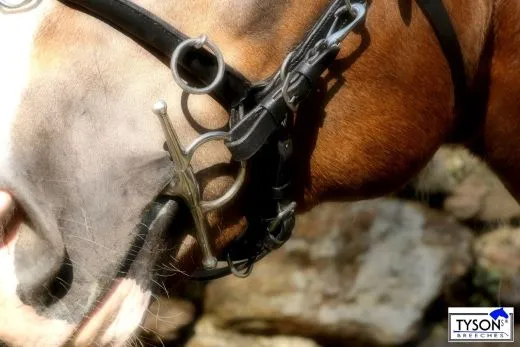 Leder Kappzaum Pony VB WB ergonomisch geformt + Gebiss Riemchen KappGH Zaum ab 49